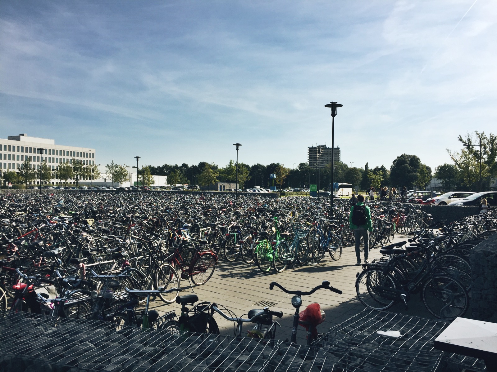 haben in holland die fahrräder vorfahrt