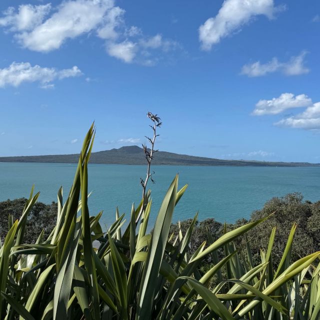 Aussicht durch Wildnis auf eine Insel vor Auckland