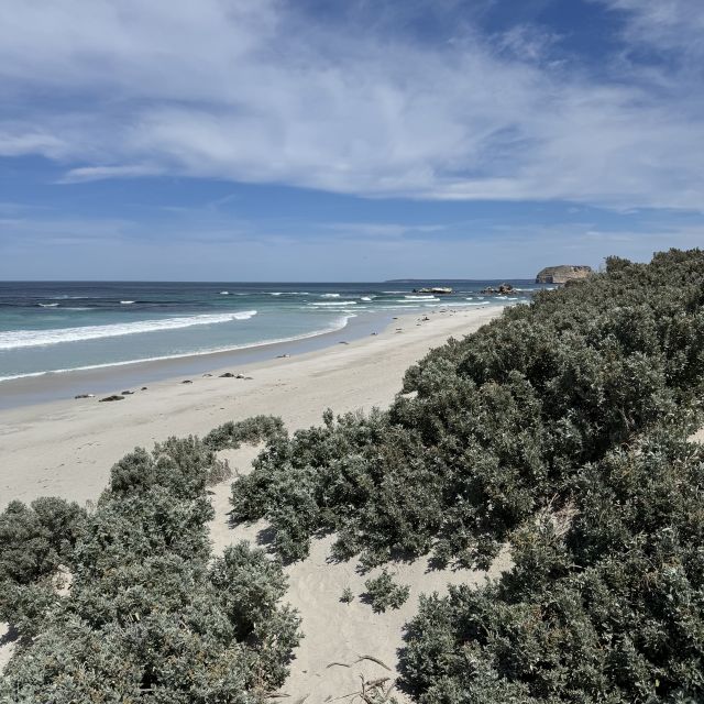 Strand auf Kangaroo Island