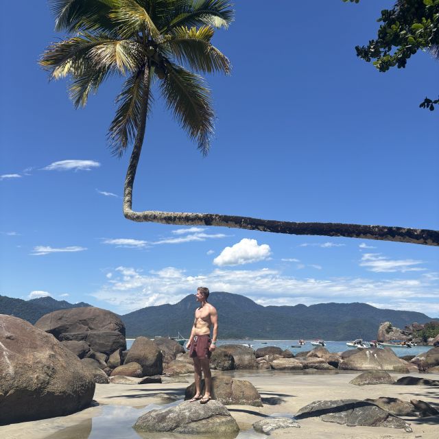 Eine Palme die waagerecht richtung Strand wächst. Ich darunter